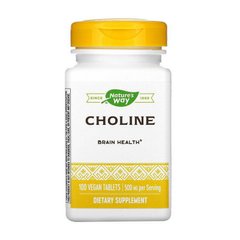 Choline 500 mg (100 veg caps)