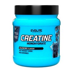 Evolite Nutrition Creatine Monohydrate 500 g blueberry