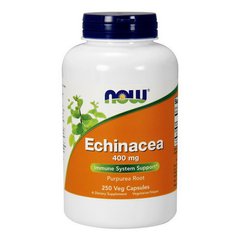Ехінацея пурпурна порошок 400 мг Now Foods Echinacea 400 mg (250 veg caps)