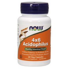 Пробиотик Ацидофилус 4x6 Acidophilus Now Foods 60 veg капсул