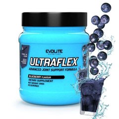 Evolite Nutrition Ultra Flex 390 g blueberry