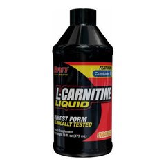 L-Carnitine Liquid (473 ml) SAN