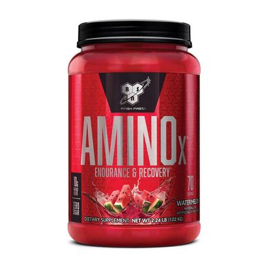 Бцаа BSN ВСАА Amino X (1,01 kg) fruit punch