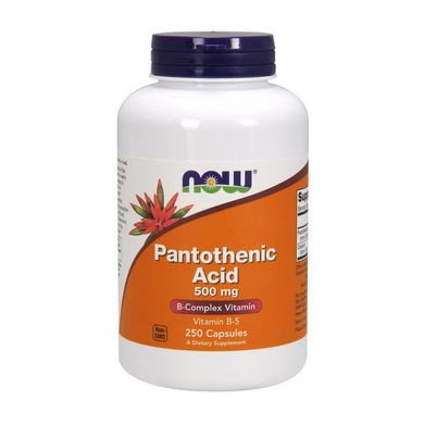 Pantothenic Acid 500 mg (250 caps) NOW