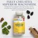 Solaray Magnesium Glycinate 350 mg (240 veg caps)