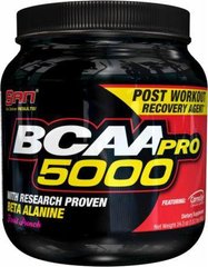 BCAA Pro 5000 (690 g, fruit punch)